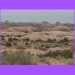 Petrified Dunes.jpg